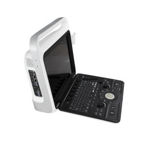 China 320V Venous Doppler Ultrasound Machine Scan CW Mode DICOM Interface factory