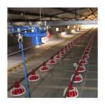 Environment Control Animal Husbandry / Poultry Farm Equipment Automatic Feeding