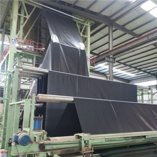 High Surface Hardness HDPE Black Fish Pond Liner Plastic Geomembrane for Fish Farming