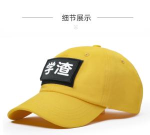 China 6 Panel Outdoor Embroidery Baseball Caps Unisex Plastic Button OEM factory
