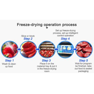 Household Freeze Dry Machine Toption China Freeze Dry At Home