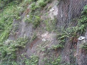 China Galvanized Hexagonal Wire Mesh Hexagonal For Bank / Mountain Protection factory