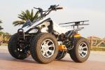 13.9HP 250CC Youth Racing ATV Chain Drive ATV With Front Drum Brake