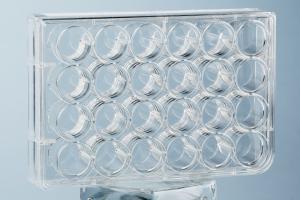 China Lab 24 Well Plate Cell Culture Consumables Polystyrene factory