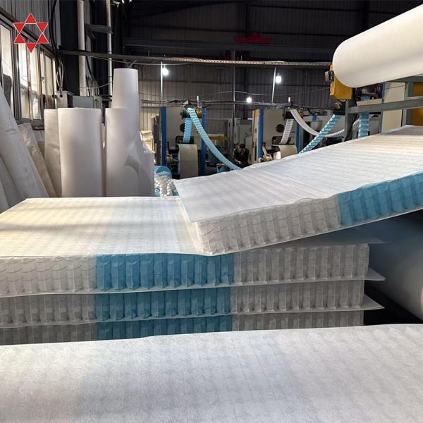 Pocket Coil Spring Unit Compressed Spring Bed Coil Unit for Mattress Coils Matelas 3 5 7 Zone Mattress Pocket Spring