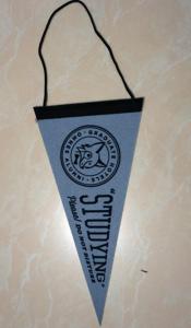 China 150D Polyester Advertising Sports Pennant Flag Triangle Shape factory