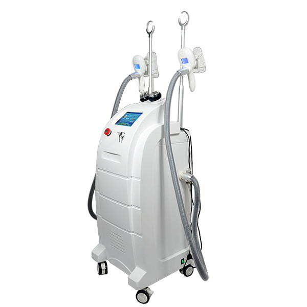China 360 Cryolipolysis Cryo Fat Freezing Machine FDA Approved For Fat Sculpting factory