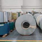 ASTM 310S HL Stainless Steel Strip Cold Rolled 0.5mm 0.8mm Thickness 500mm