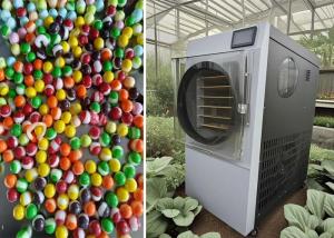 China Commercial Professional Lyophilizer Machine For Fruit Vegetable Candy Freeze Drying factory