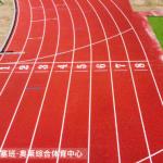 IAAF Colored Epdm Rubber Running Track for Rubber Jogging Track by EPDM SBR