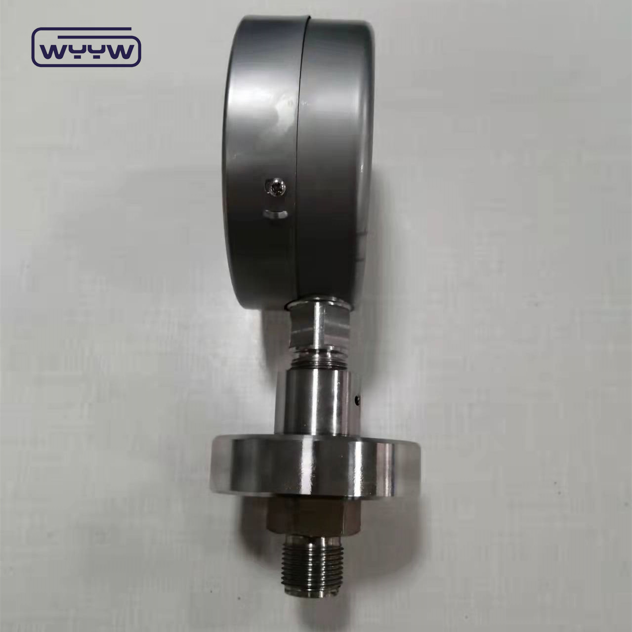 100mm Diaphragm Seal Pressure Gauge Connection Bottom Mounting Type Direct Bottom Or Back