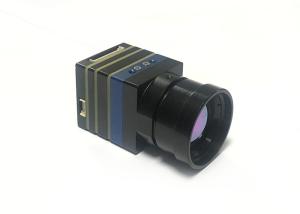 China OEM Night Vision Infrared Thermal Imaging Camera Module For Surveillance Detection factory