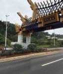Golden Color Large Outdoor Sculpture 50 Meter Length For City Decoration