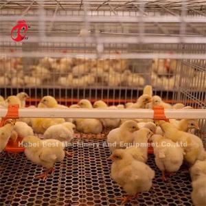 China Hightop Chick Brooder Chicken Cage Of Poultry Chicks Ada factory
