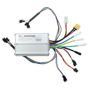 48V20A Center Liquid Crystal Display Controller Shilop Complete Set of Electric