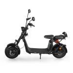 Citycoco 1500W 2 Wheel Electric Scooter Fat Tire Off Road Electric Motorcycle