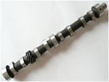 Camshaft for Weifang Ricardo Engine 295/495/4100/4105/6105/6113/6126 Engine