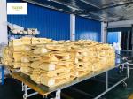 550gsm Anti Acid Alkali Industrial Filter Cloth For Cement Plant
