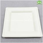 China Facotry Wholesale Sugarcane Pulp Square Plate-6 Inch/8inch/10inch,100%