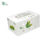 Corruone PP Correx fruit seafood vegetable Cartonplast corrugated plastic