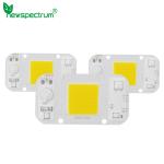 Driverless AC 50W LED Chip Flip Chip Cob Led For DIY Floodlight