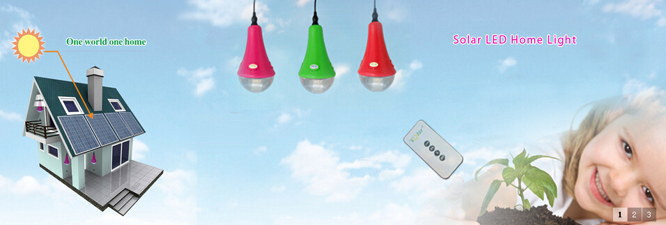 Solar power home lighting kits 9W panel lithium battery with remote control