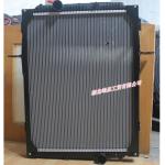 Dongfeng/Dcec Kinland Engine Parts Auto parts for Truck Radiator 1301010-K0300