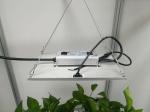 120w 2.5umol/J Led Grow Light Quantum Board For Fruit Growing