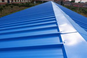 China Traditional Design Style Waterproof Coating Powder or Liquid for Long-Lasting Waterproofing factory