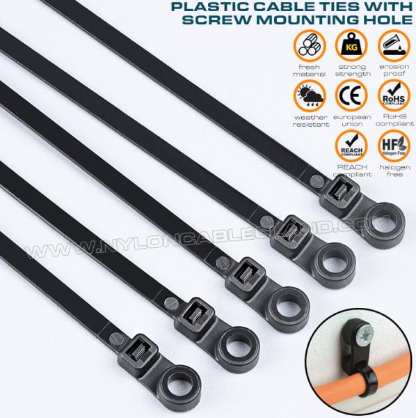 Nylon (PA)66 Cable Tie with Round Mounting Hole 300mm x 4.8, Screw Mount Plastic