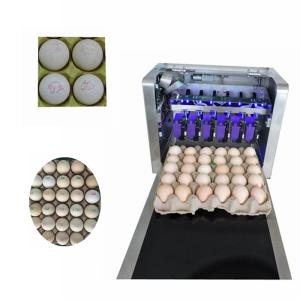 China High Resolution Food Inkjet Printer , Eggs Expiry Date Printing Machine factory