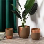 Factory direct unique design luxury home hotel decoration succulent plant pots
