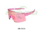 UV Protection AR PRO Mountain Bike Glasses With Interchangeable Lenses