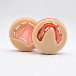 98/95/AG Dental PMMA Block Monolayer Multilayer For Dental Laboratories