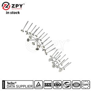ZPY Intake Exhaust Valve Kit for VW Audi Passat Jetta A4 A6
