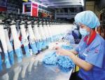 Medical Latex Gloves Machinery Rubber Glove Making Machine Egypt Steel Stainless