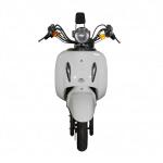 LY-FGG19 Electric motorcycle
