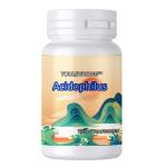Acidophilus Supplement Capsules for Digestive Health GMP Certified and 2 Year
