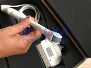 China GE LogiqP5 LogiqP6 LogiqS6 Endocavity Array Original Ultrasound Probe E8CS factory