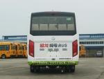 10-20 Seats Comfortable Passenger Carrier Luxury Mini Coach Bus With Energy
