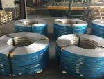 301LN 0.1 - 2.0mm S30153 AISI 301 1.4310 Cold Rolled Stainless Steel Strip