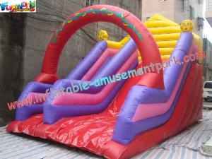 China Outdoor Inflatables blow up Slides with thick D anchor point rentals for commercial, home factory