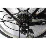 Aluminum Alloy Steel City Bikes Ladies Cycle 20 Inch With Ordinary Pedal
