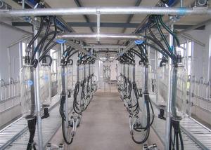 China Layout Compact Milking Equipment Herringbone Milking Parlor For Goat Farm factory