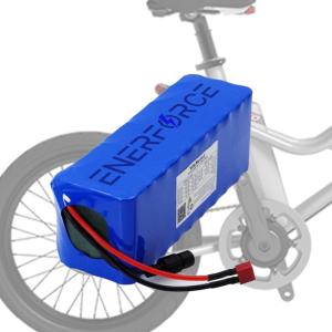 China 48V 10Ah E Bike Electric Scooter Lithium Battery Pack Faster Charging 18650 Pack factory