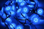 Waterproof SMD 5050 DC 24v Flexible Lighting LED Strip For Outdoor Festival