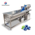 180KG 304 stainless steel eddy current vegetable washing machine Eddy current