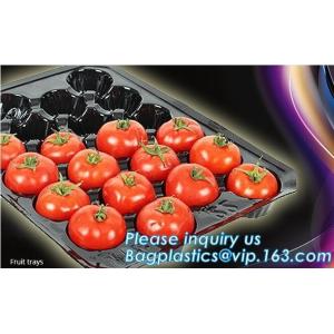 PET Plastic Vegetable Plant Grow Seedling Bed Trays Nursery Plug Tray,128 holes