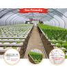 Buy cheap tunnel green house vegetable lettuce pe film greenhouse with nft from wholesalers