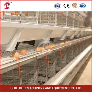 China 432cm2 Area Bird Chick Brooder Cage With 6 Tiers And Durable Rose factory